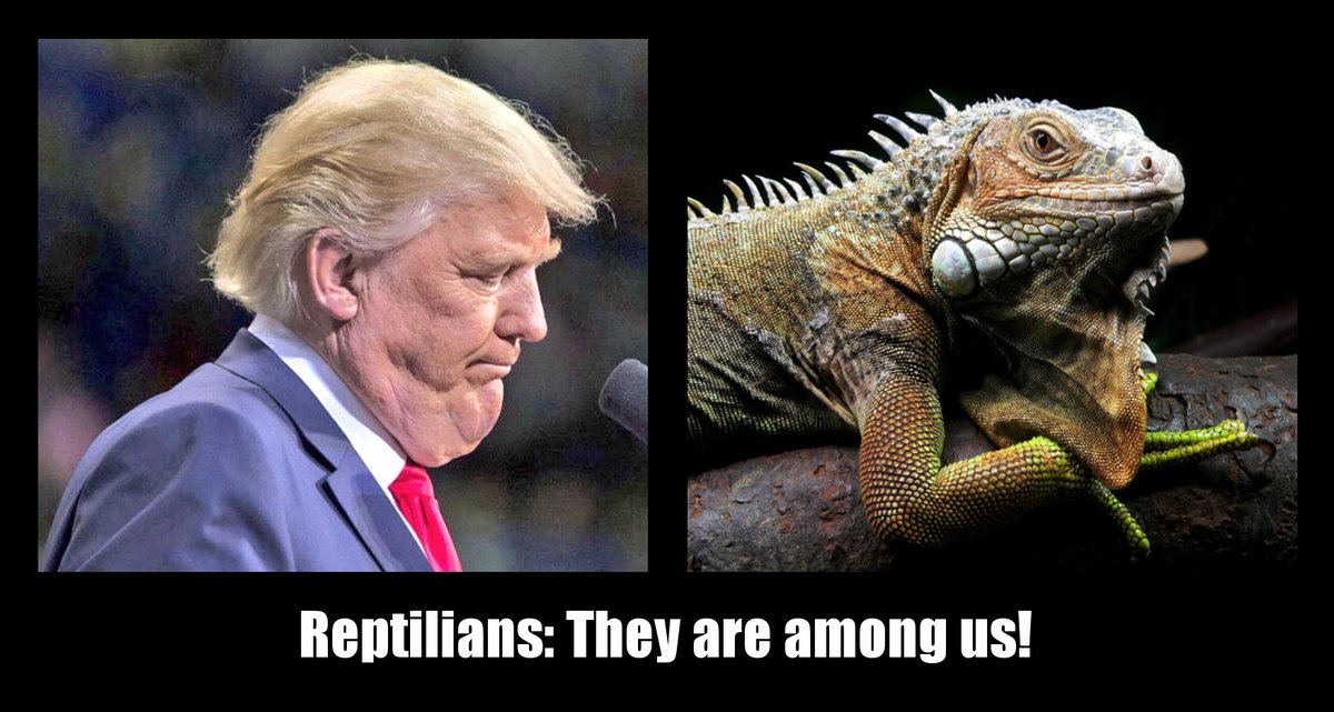 Lizard Trump Picture Dump