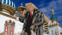 Trump GIF Dump #4