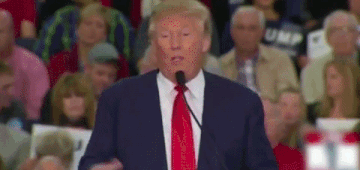 Trump GIF Dump #10