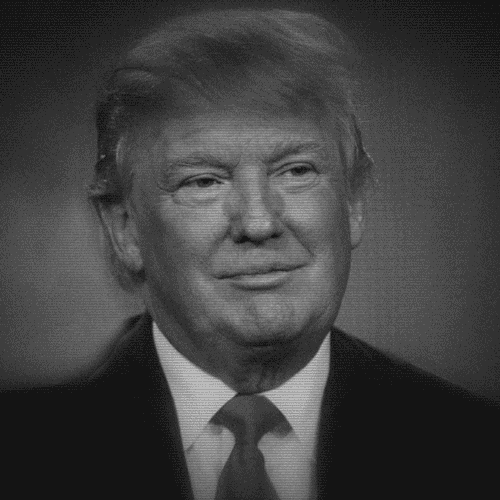 Trump GIF Dump #17