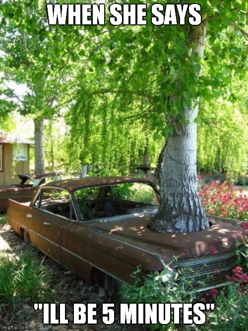 Rusty car with tree MEME