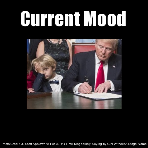 As Donald Trump was signing paperwork, his adorable grandson made this face which reminded me of myself.