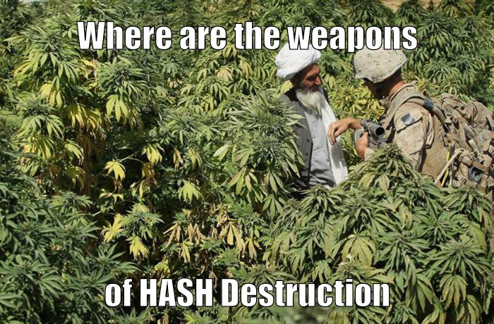 CAPTION CONTEST: Where are the weapons of HASH Desturction