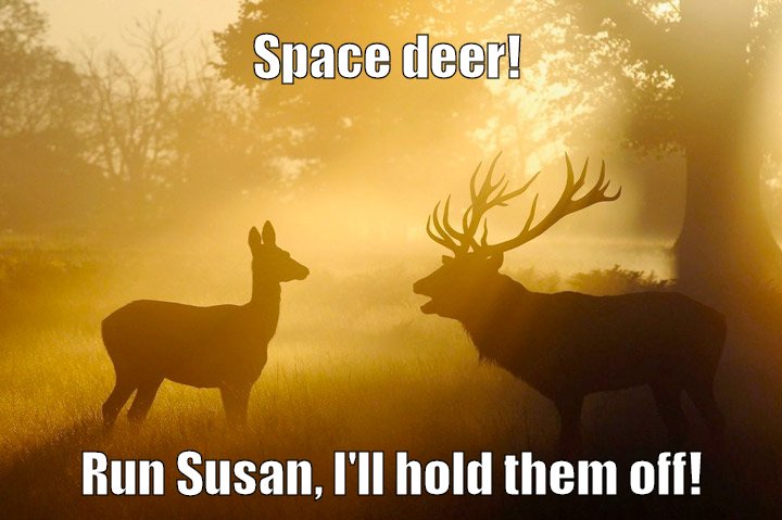 Space deer, what more needs describing