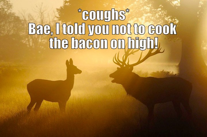 cooking bacon on high creates a massive amount of smoke.