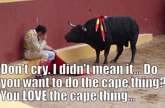 Bull tries to console matador