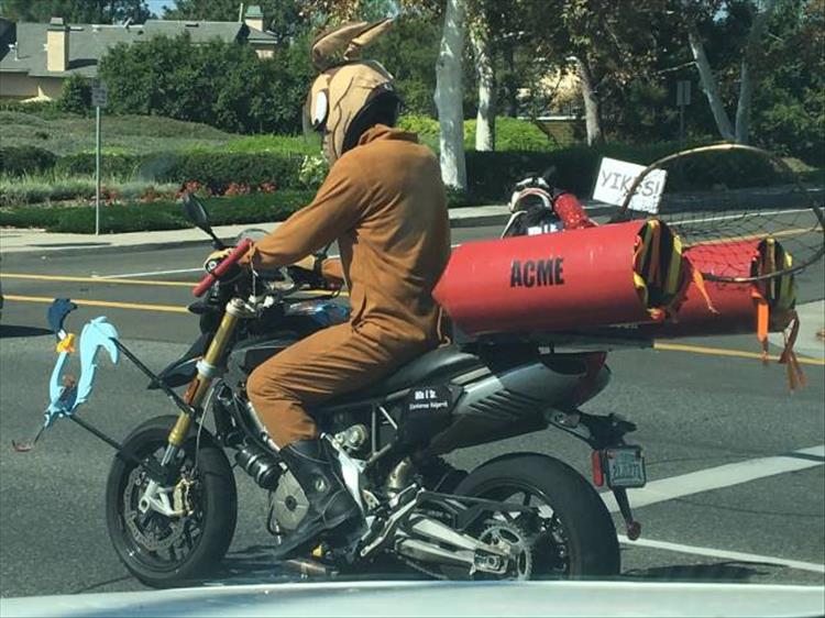 random pic of a motorcycle with acme wilde e coyote and roadrunner theme