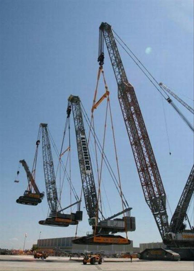 random picture of cranes lifting cranes in smaller sizes