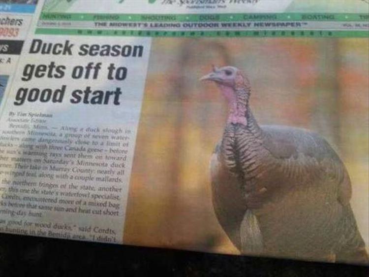 random pic of headline about duck season with picture of a turkey