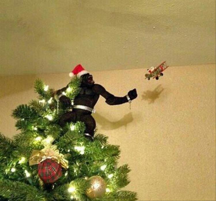 random picture of a king kong christmas tree going for that airplane