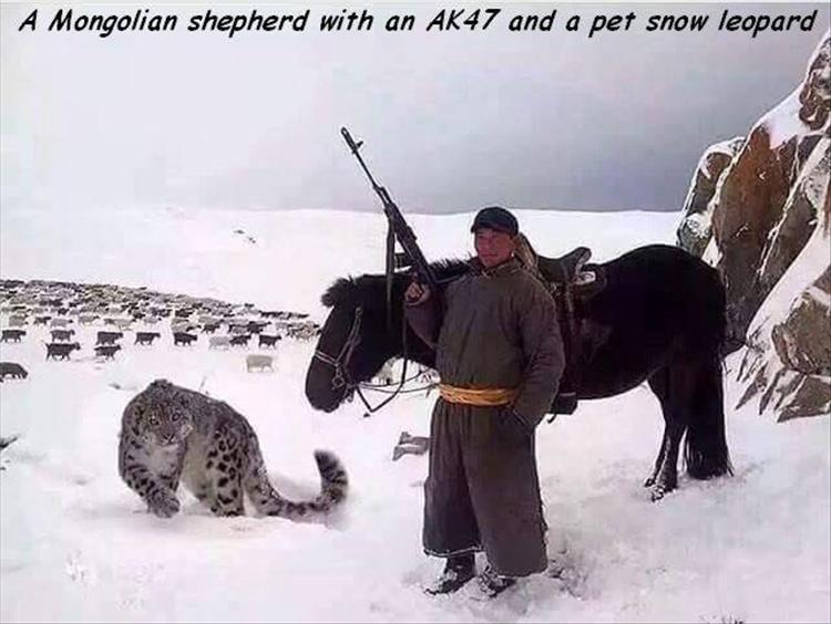 random badass picture of a mongolian shepherd with an ak-47 and a pet snow leopard