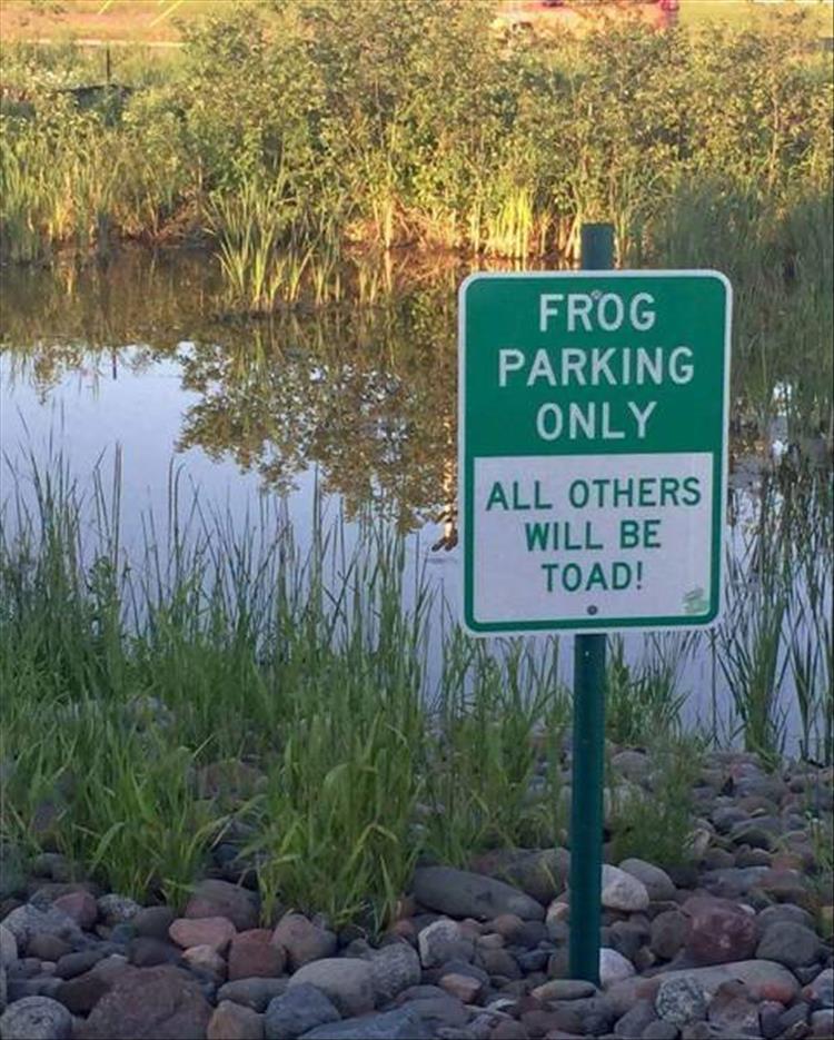 random sign picture pun of frog parking only, all others will be toad