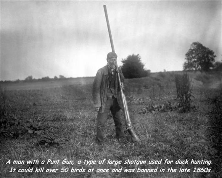 random picture of a man holding a massive puntgun which could kill 50 birds with one shot and was banned in the late 1860s