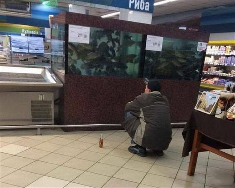random pic of someone enjoying a beer at a store to watch the fish tank of fish for sale