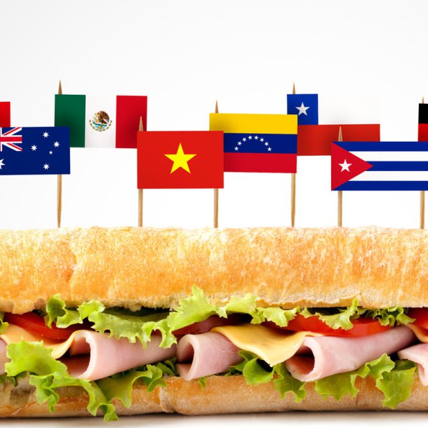 Ham Sandwiches from around the world!