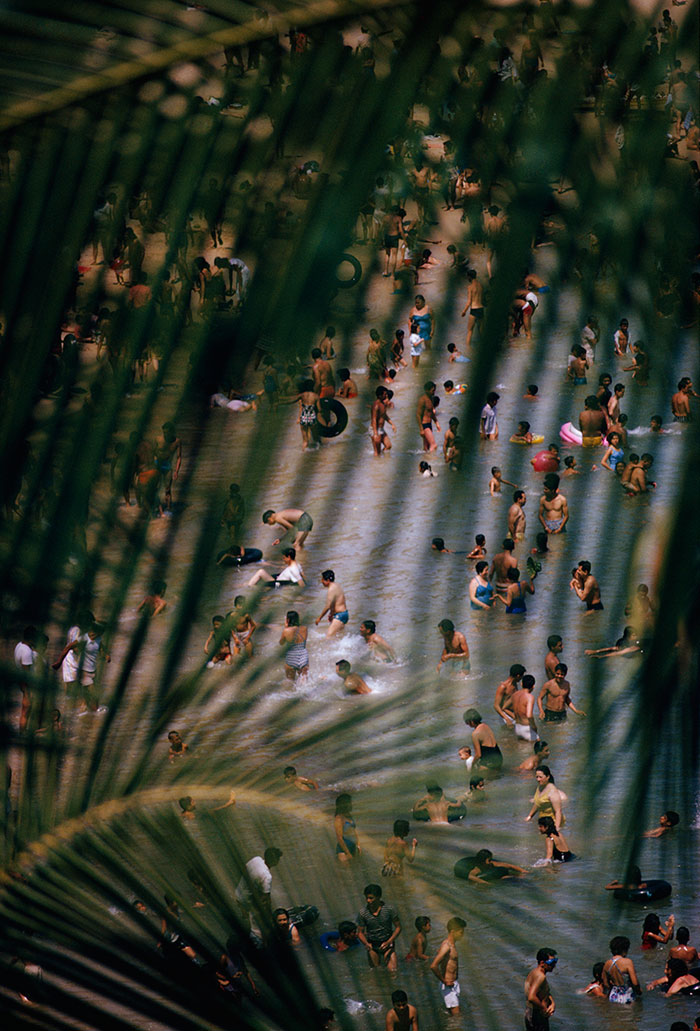 Dozens of visitors frolic in the water as seen through a palm frond in Acapulco, Mexico, 1964Image source: Thomas Nebbia