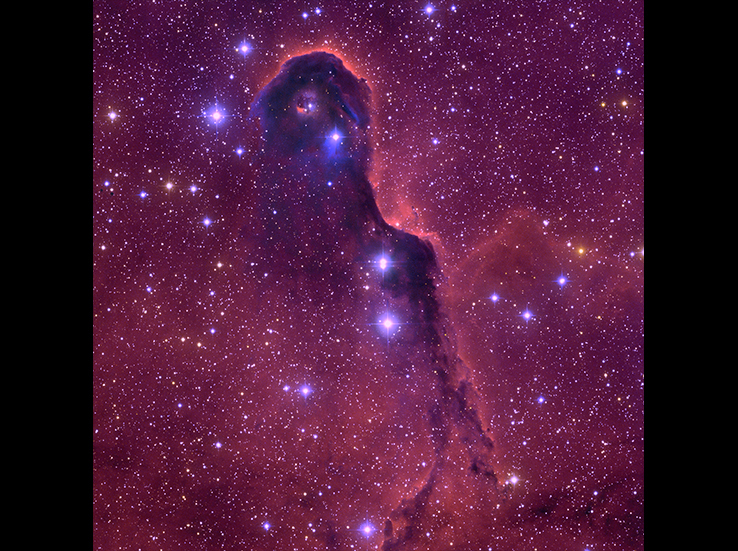 The WIYN 0.9-meter telescope on Arizona’s Kitt Peak imaged the Elephant Trunk Nebula as it floats within the faint star cluster known as IC 1396 some 3,000 light-years away from Earth. The nebula’s long cloud of dust and gas serves as an incubator for young, developing stars. It also holds the raw materials for star formation.

Image source: T.A. Rector, University of Alaska Anchorage; WIYN/NOAO/AURA/NSF
