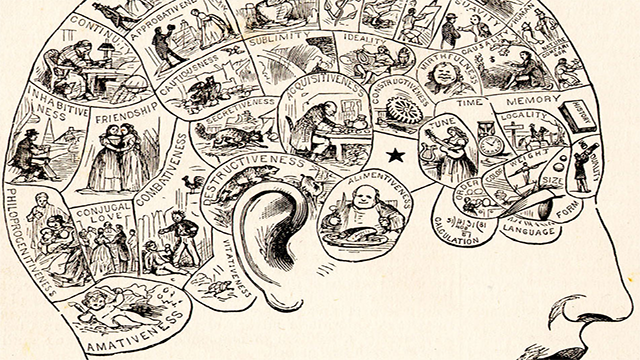 Phrenology: Read your friends head like a crystal ball
By taking measurements of the skull, phrenology’s founder Franz Josef Gall argued around the turn of the 19th century, you could determine a person’s personality traits, propensities, and intelligence. We bet he made a lot of money.