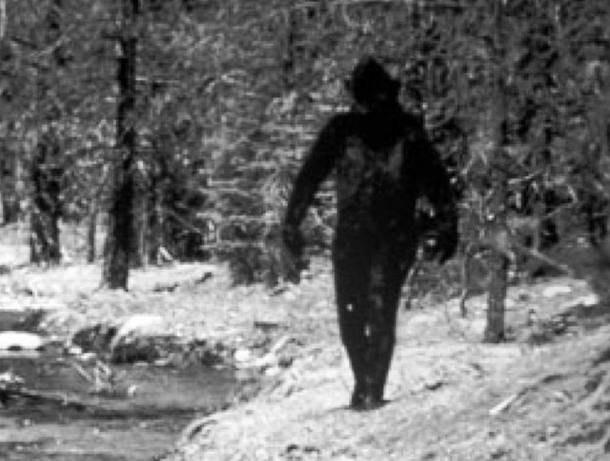 Bigfoot
Also known as Sasquatch,  bigfoot is supposedly a creature that lives in the snowy mountainous regions of the United States and Canada. It may be identified as a gorilla at first, however, its walking posture can be compared to that of a man’s.