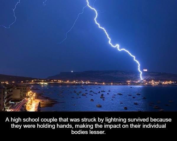 37 Interesting Facts That Will Make You Think