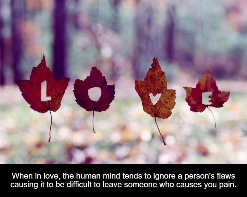 fall leaves love - When in love, the human mind tends to ignore a person's flaws causing it to be difficult to leave someone who causes you pain.