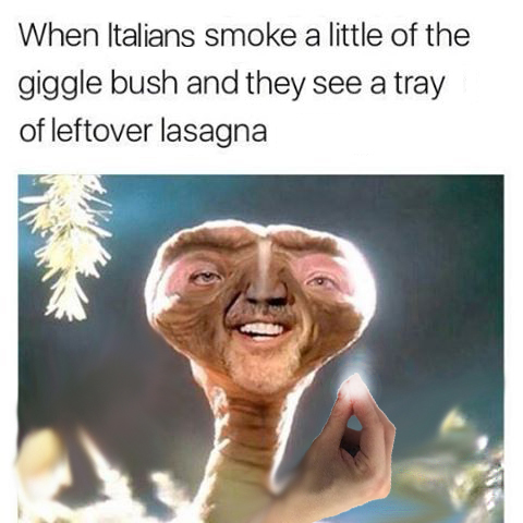 new one for all you fans of the Italian hand meme