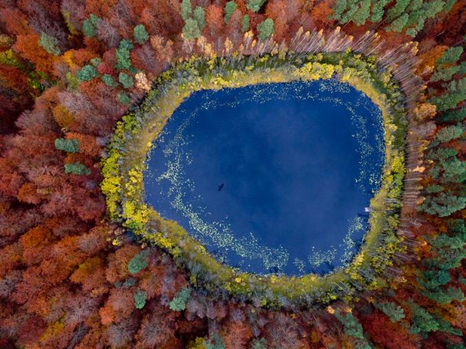 POMERANIA, POLAND
Fall colors blaze out in concentric rings from a lake in eastern Pomerania, Poland. The region on the south shore of the Baltic Sea is largely covered with farmland—and vast swaths of forest.
PHOTOGRAPH BY KACPER KOWALSKI, PANOS PICTURES