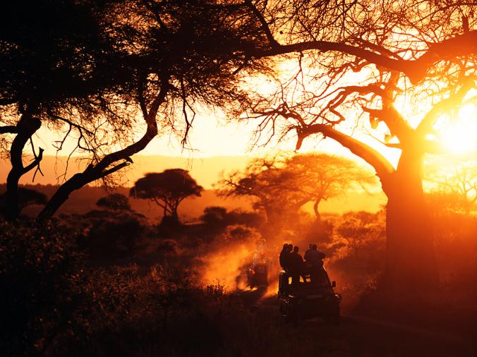 TARANGIRE NATIONAL PARK, TANZANIA
Framed by the branches of baobab trees, safari jeeps stir up dust at sunset in northern Tanzania's Tarangire National Park. Dry season in the thousand-square-mile park brings an array of wildlife—including dense elephant herds—drawn to the perennial Tarangire River.
PHOTOGRAPH BY IAN CUMMING, CORBIS