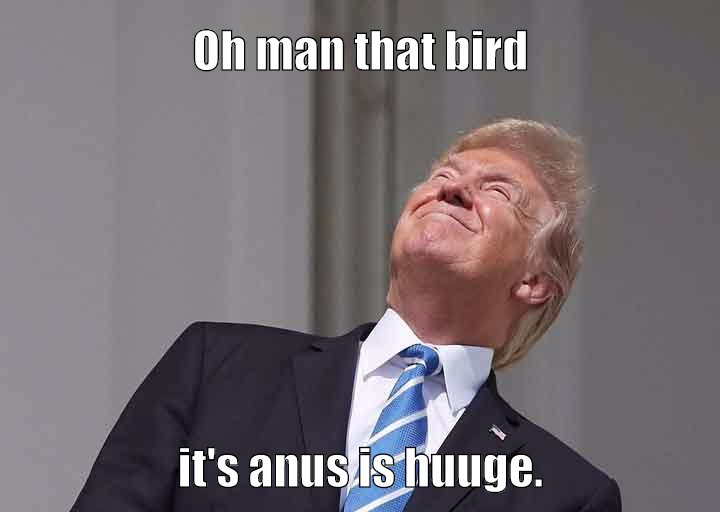 totally huuuge bird anus best in the world number one huuuge