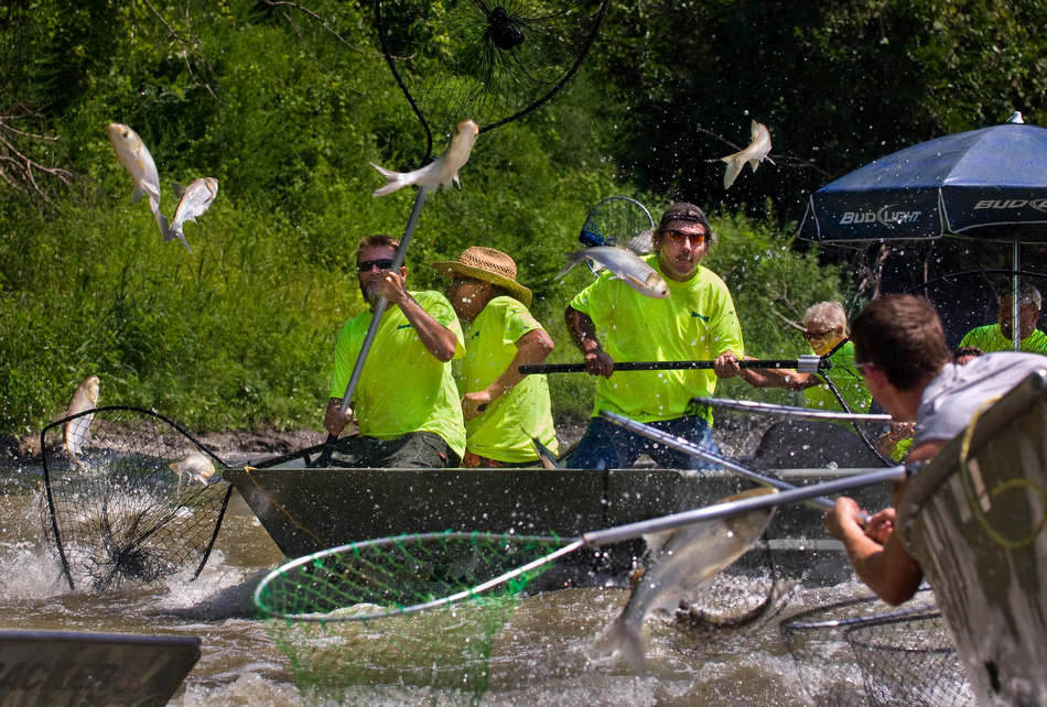 Fishing for Asian Carp