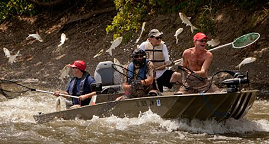 Fishing for Asian Carp