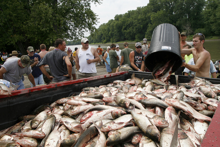 Fishing for Asian Carp