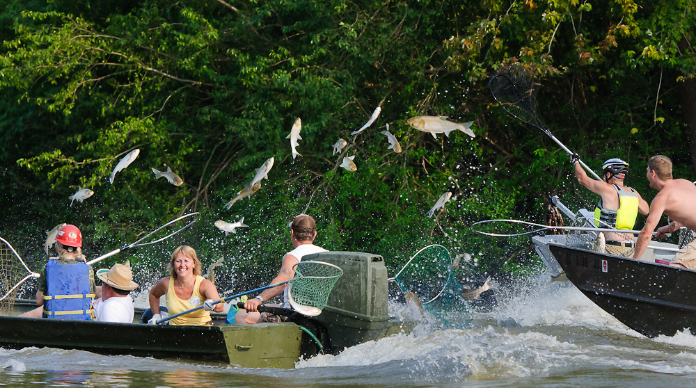 Fishing for Asian Carp