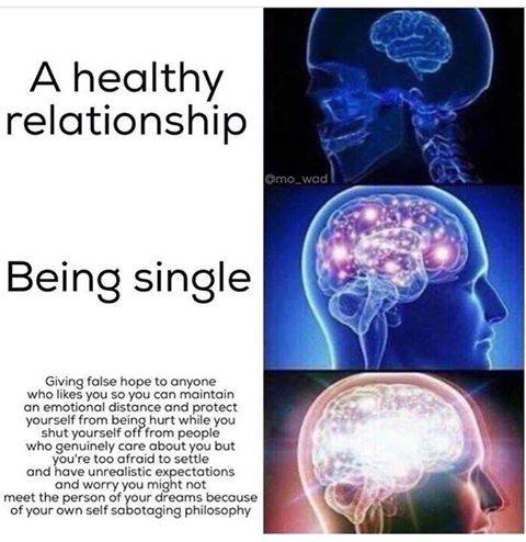 healthy relationship memes - A healthy relationship amo wad Being single Giving false hope to anyone who you so you can maintain an emotional distance and protect yourself from being hurt while you shut yourself off from people who genuinely care about yo