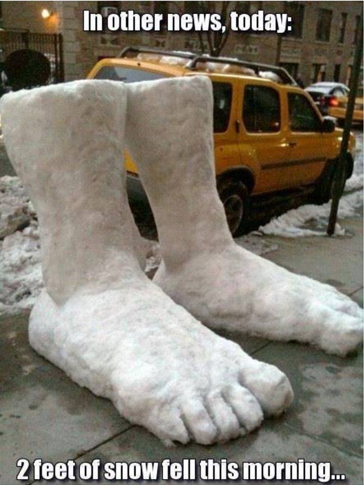 2 feet of snow funny - In other news, today 2 feet of snow fell this morning...