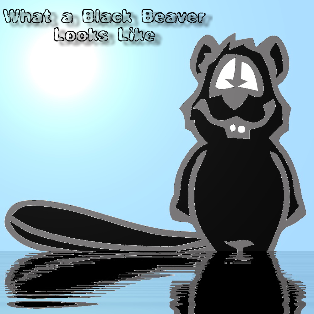 Black Beaver