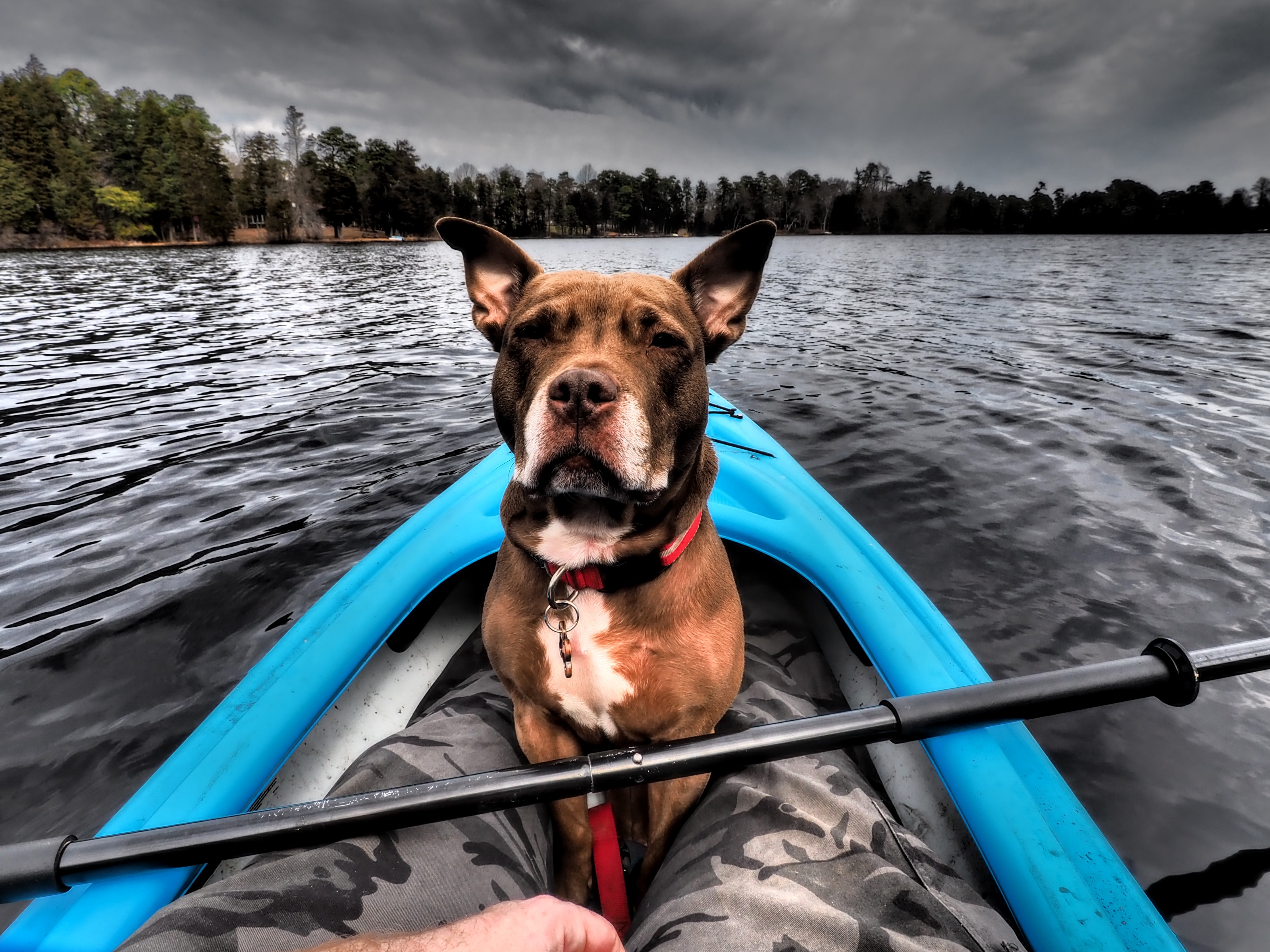 kayaking on lake horicon