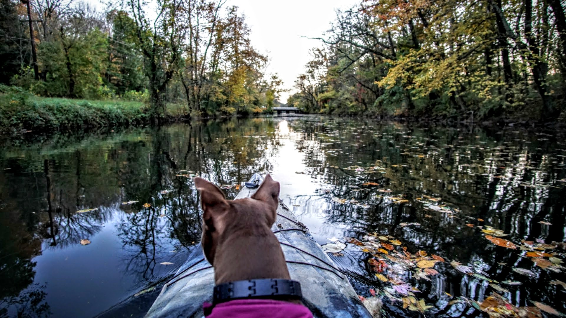 kayaking down princeton canal.