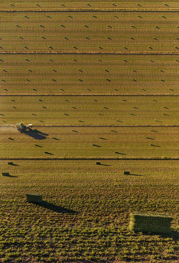 Inception style dreamscapes give everyday scenes including farms, junkyards and quarries an unsettling yet ethereal allure