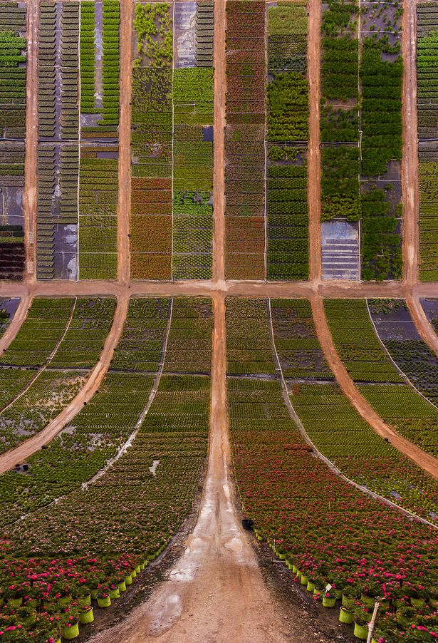 Inception style dreamscapes give everyday scenes including farms, junkyards and quarries an unsettling yet ethereal allure