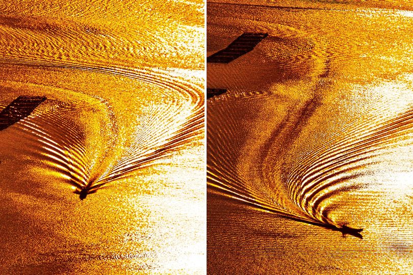 Stunning photographs capture ripples from a fishing boat sailing along on a golden sea