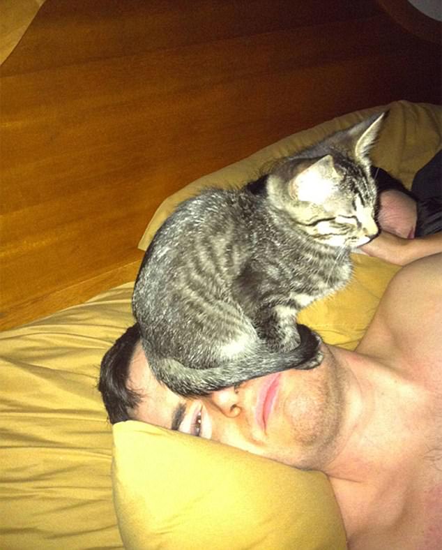 View .. pictures to prove that cats do not respect the privacy of their owners