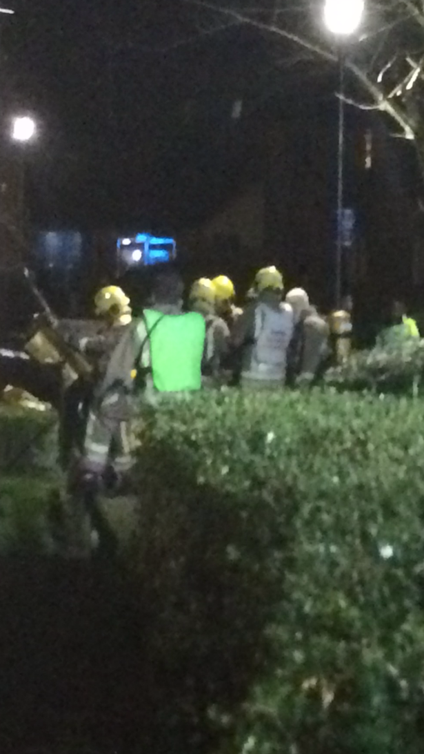 Numerous members of the rescue services attended