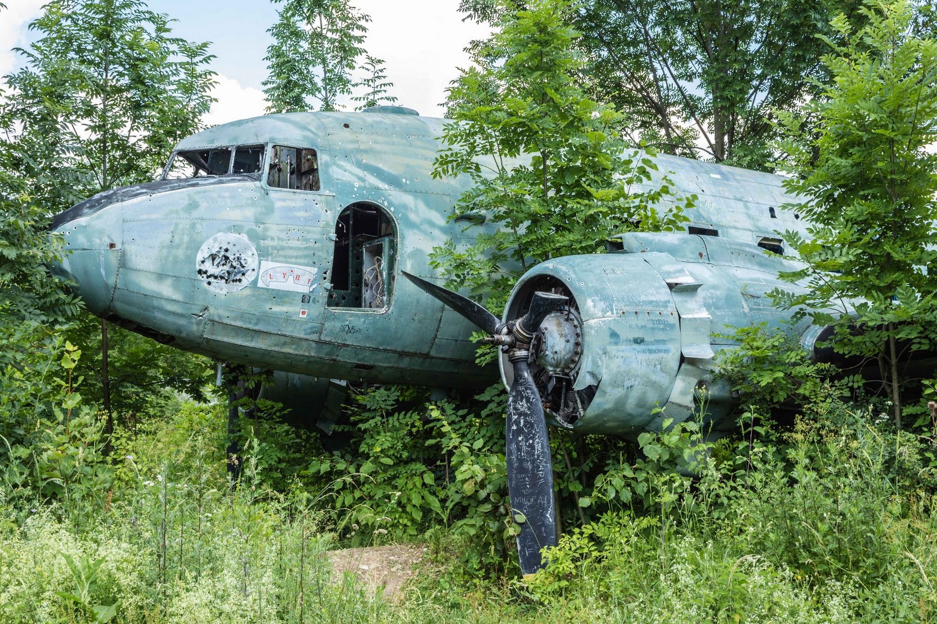Zelijava and a number of planes were abandoned during the Croatian War of Independence in 1992