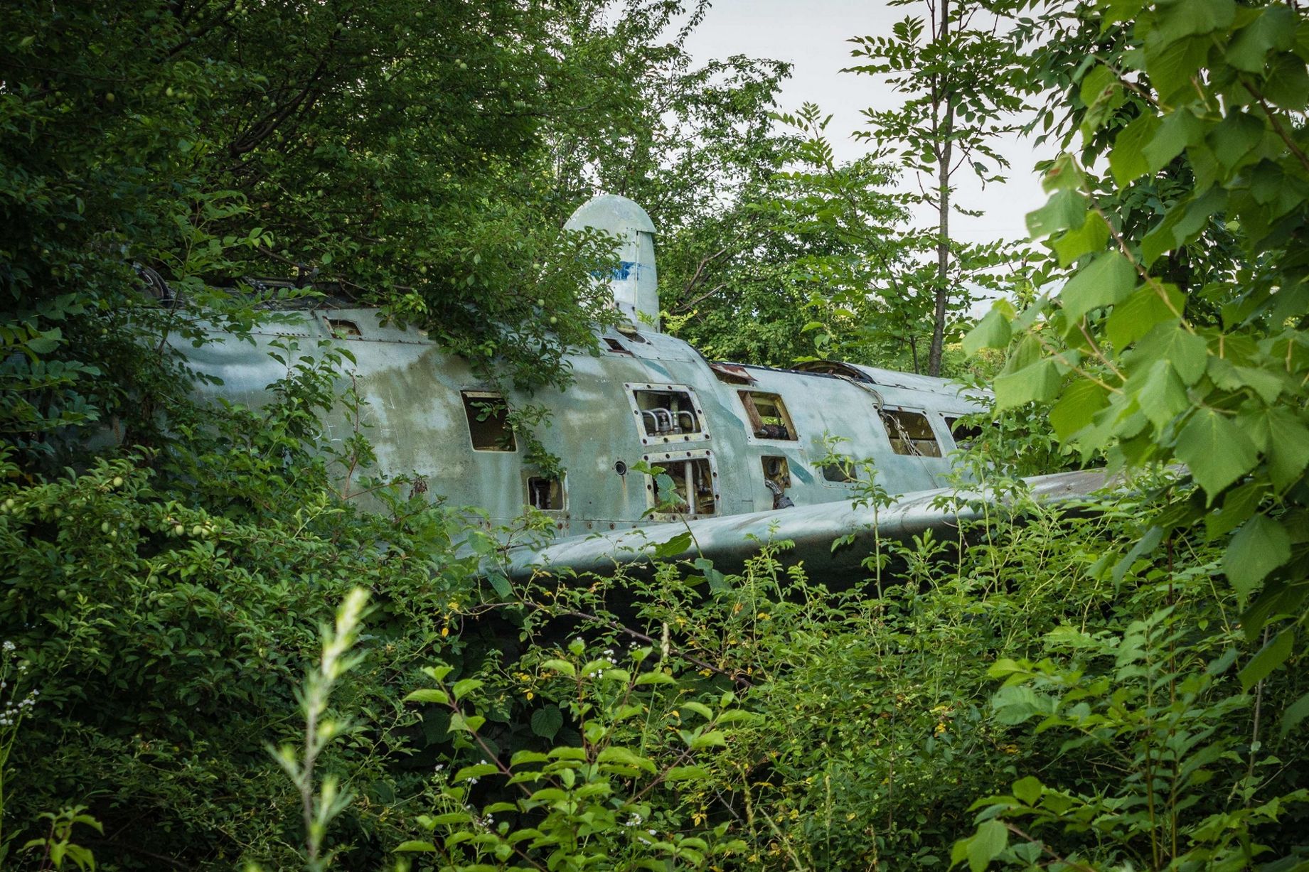The remains of a plane in a part of the air base which has been reclaimed by nature over the decades