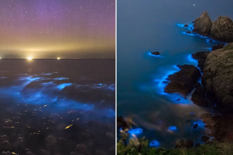 Photographers in Australia have been sharing stunning photographs of beaches glowing iridescent blue.

The photos, taken in Preservation Bay on the North West coast of Tasmania, show the water close to the shore illuminated, as if lit from below.

The spectacular natural phenomenon, known as bioluminescence or "sea sparkle", is typically seen in calm waters.