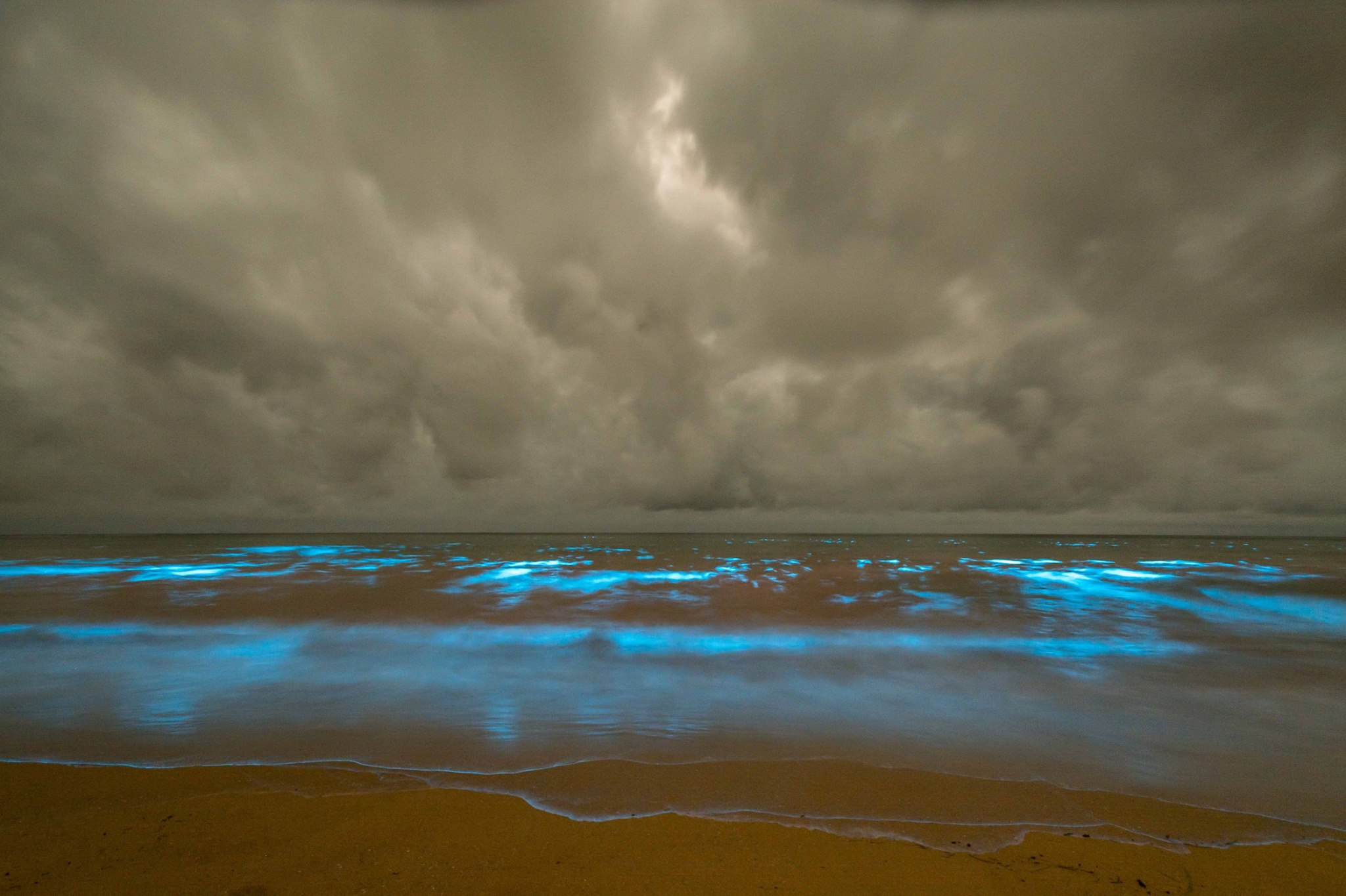 Why beaches in Australia are glowing iridescent blue: The science behind the spectacular