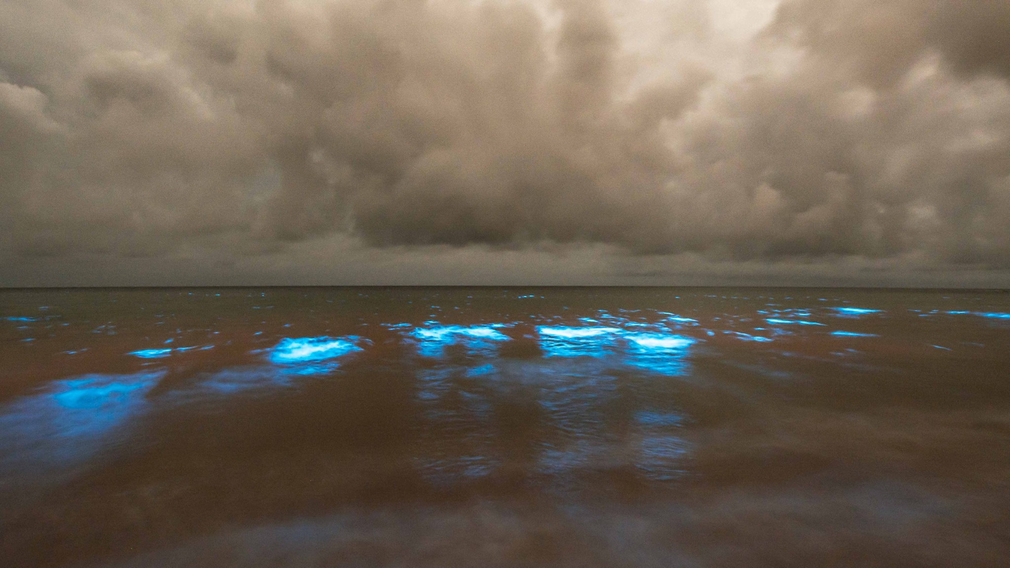 Why beaches in Australia are glowing iridescent blue: The science behind the spectacular