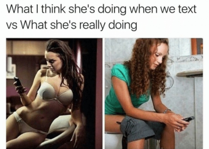 funny meme about what she is doing when we text VS what she is really doing, which is probably sitting on the can.