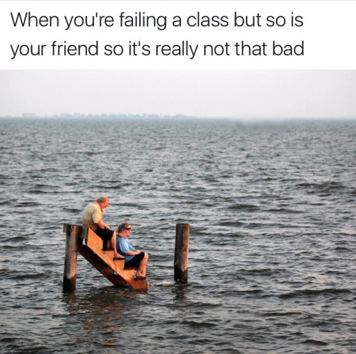 memes - you re failing a class but your friend - When you're failing a class but so is your friend so it's really not that bad